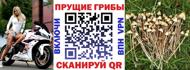 Галлюциногенные грибы MAGIC MUSHROOMS  что такое наркотик  Дальнегорск 