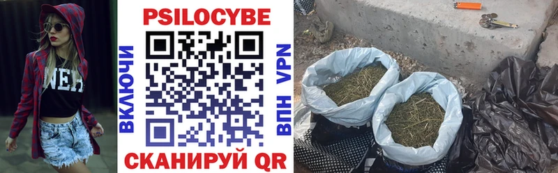 Псилоцибиновые грибы прущие грибы Дальнегорск