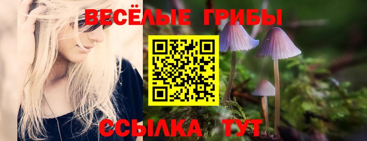 Галлюциногенные грибы Cubensis  Вход с VPN  Галлюциногенные грибы MAGIC MUSHROOMS  Дальнегорск 