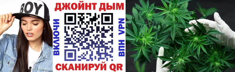 Марихуана план  как найти   Дальнегорск 